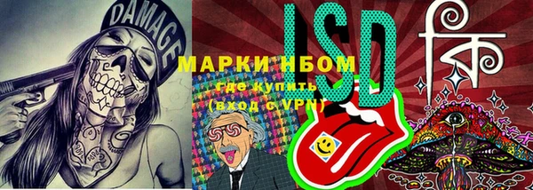 PSILOCYBIN Лихославль