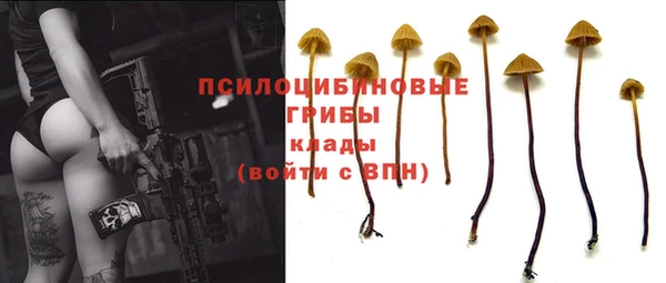 стафф Кулебаки