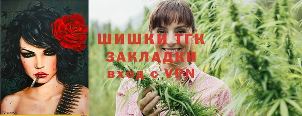 стафф Кулебаки