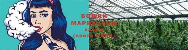 стафф Кулебаки